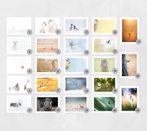 Cartes grand format