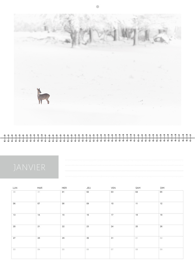 Calendrier 2026 – Image 2