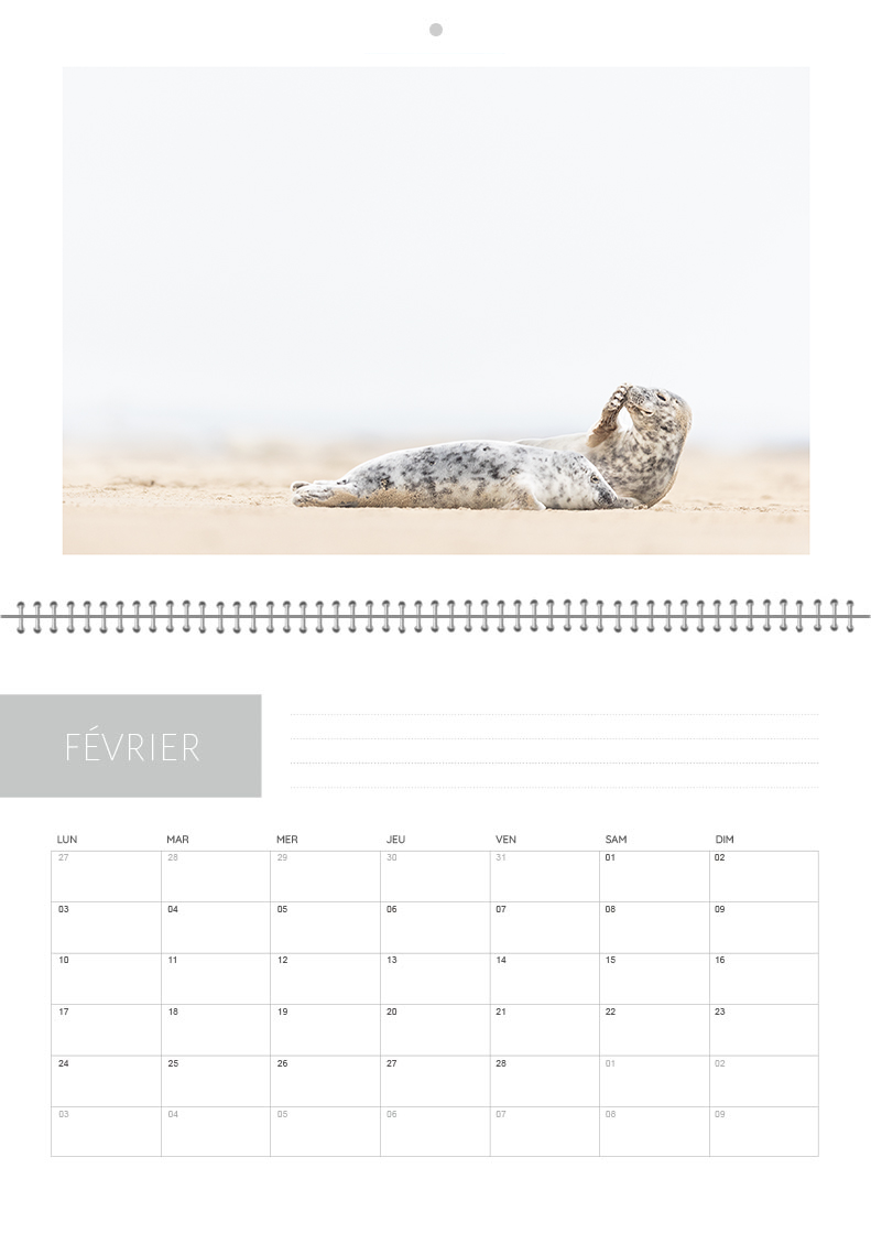 Calendrier 2026 – Image 3