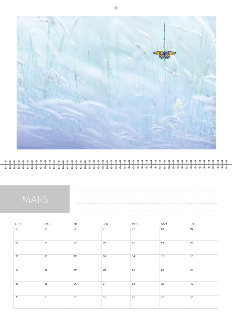 Calendrier 2026 – Image 4