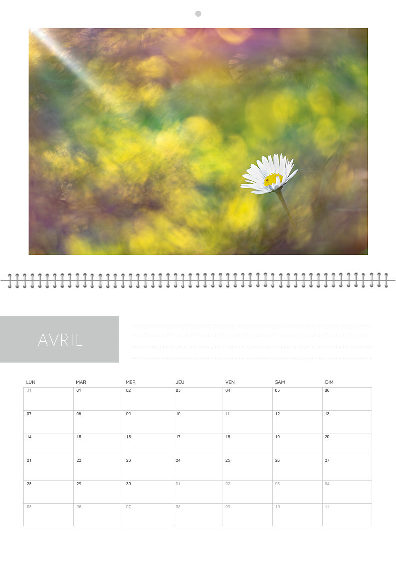 Calendrier 2026 – Image 5