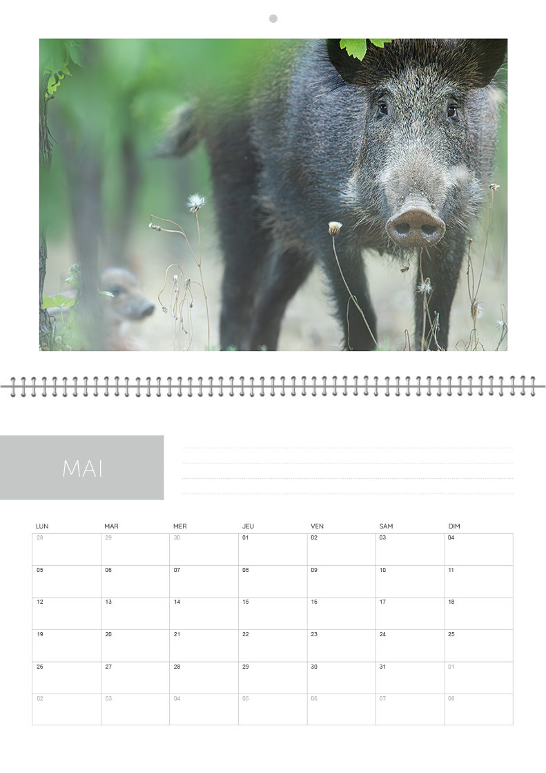 Calendrier 2026 – Image 6