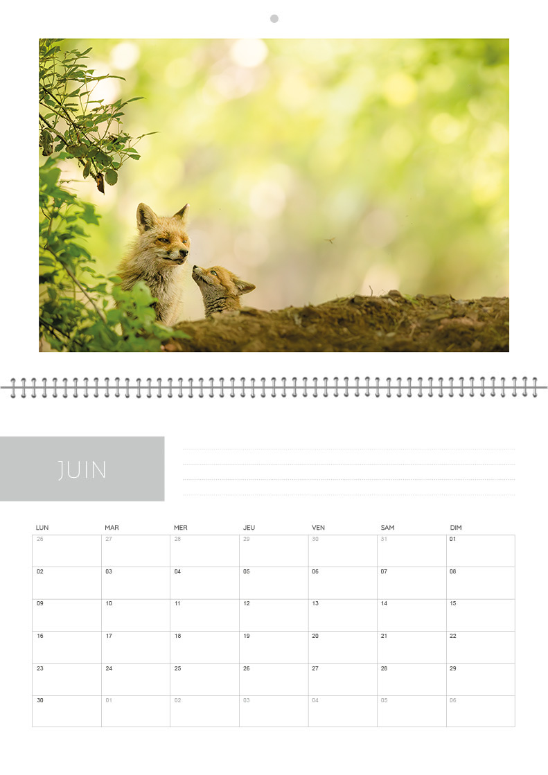 Calendrier 2026 – Image 7