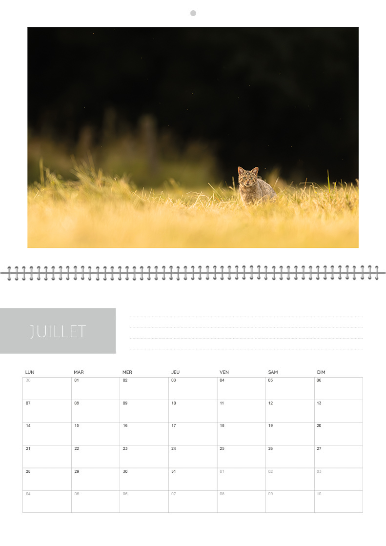 Calendrier 2026 – Image 8