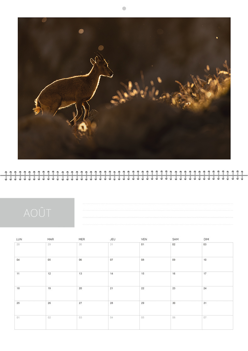 Calendrier 2026 – Image 9