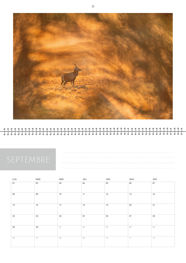 Calendrier 2026 – Image 10
