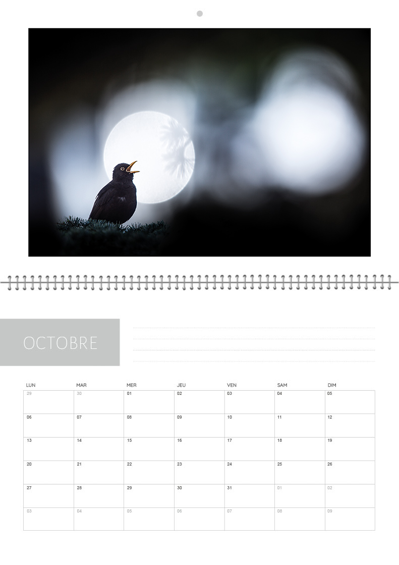 Calendrier 2026 – Image 11