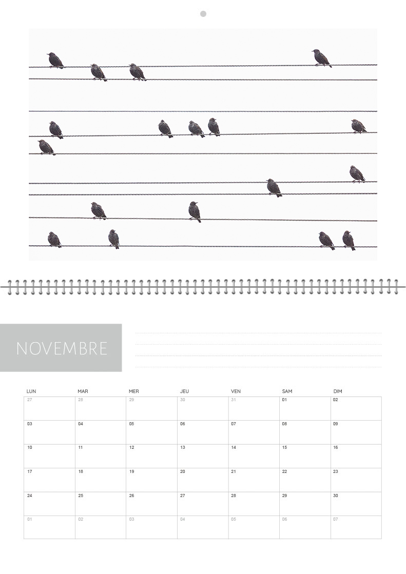 Calendrier 2026 – Image 12