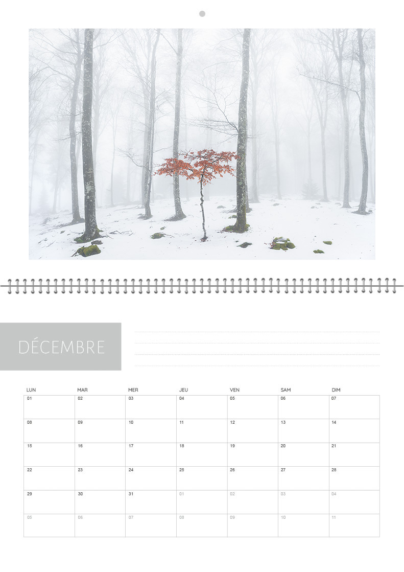 Calendrier 2026 – Image 13