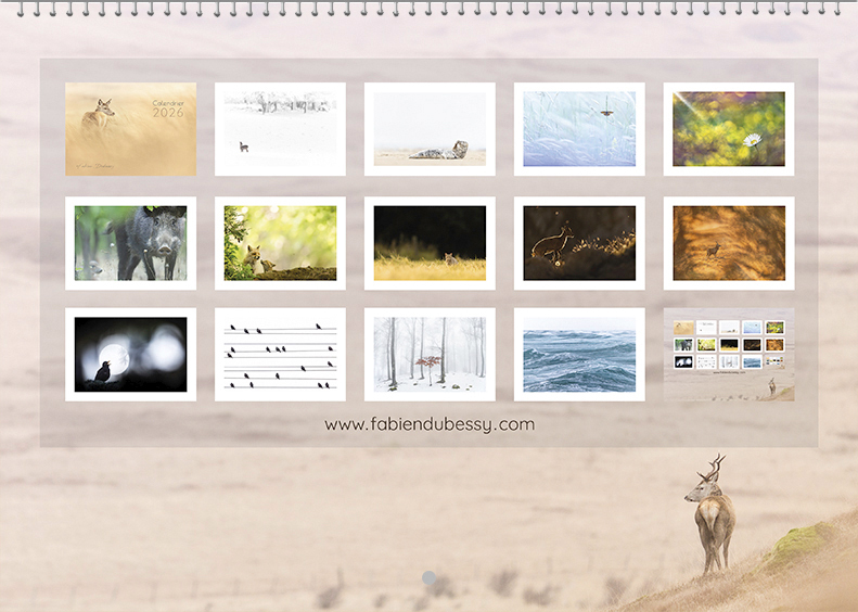 Calendrier 2026 – Image 15