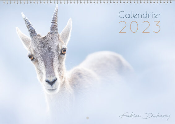 Calendrier 2023 – Fabien Dubessy – Photographe nature – Wildlife