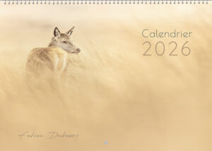Calendrier 2026
